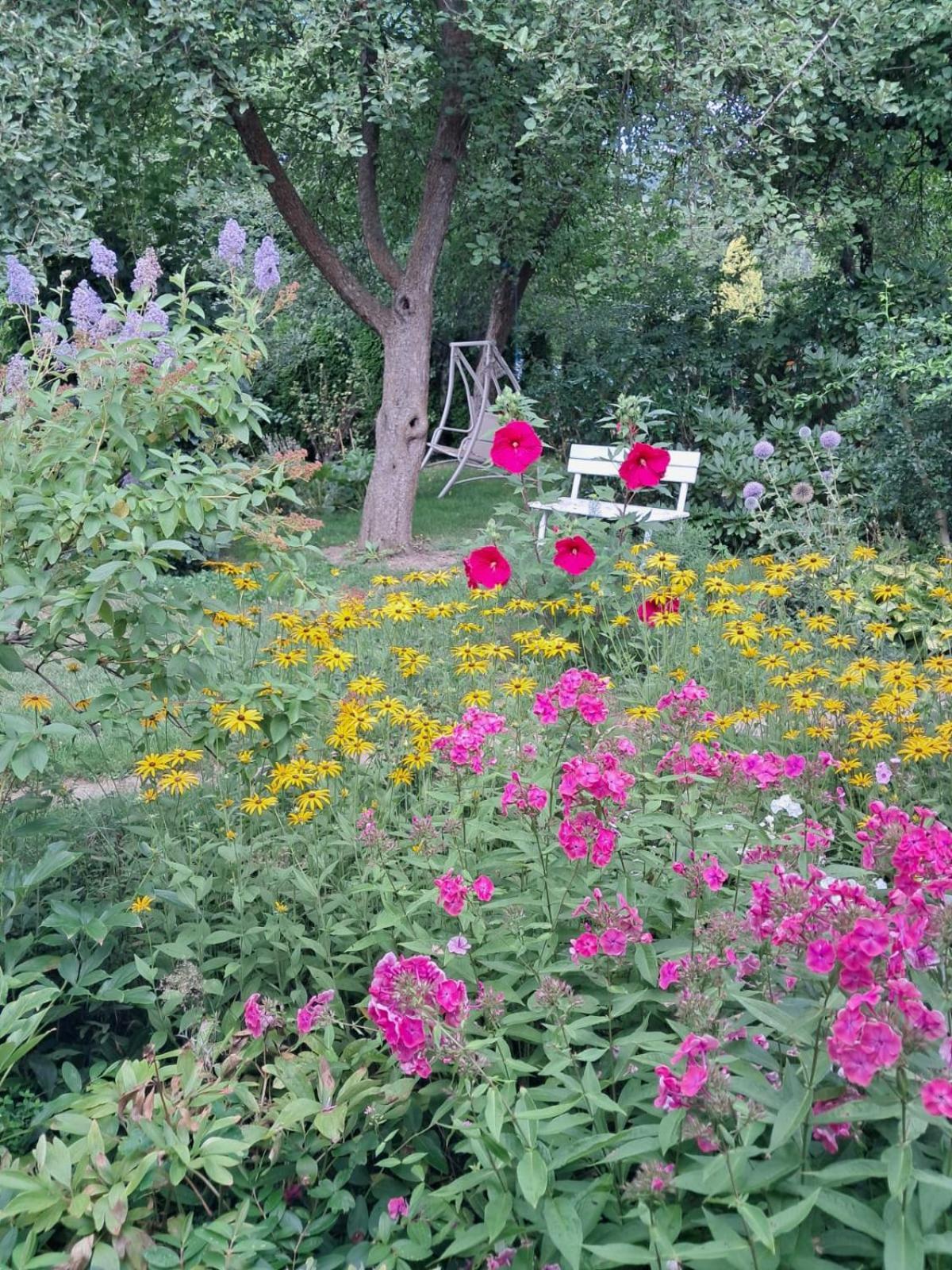 Pilchowice Agroturystyka Nad Bobrem מראה חיצוני תמונה