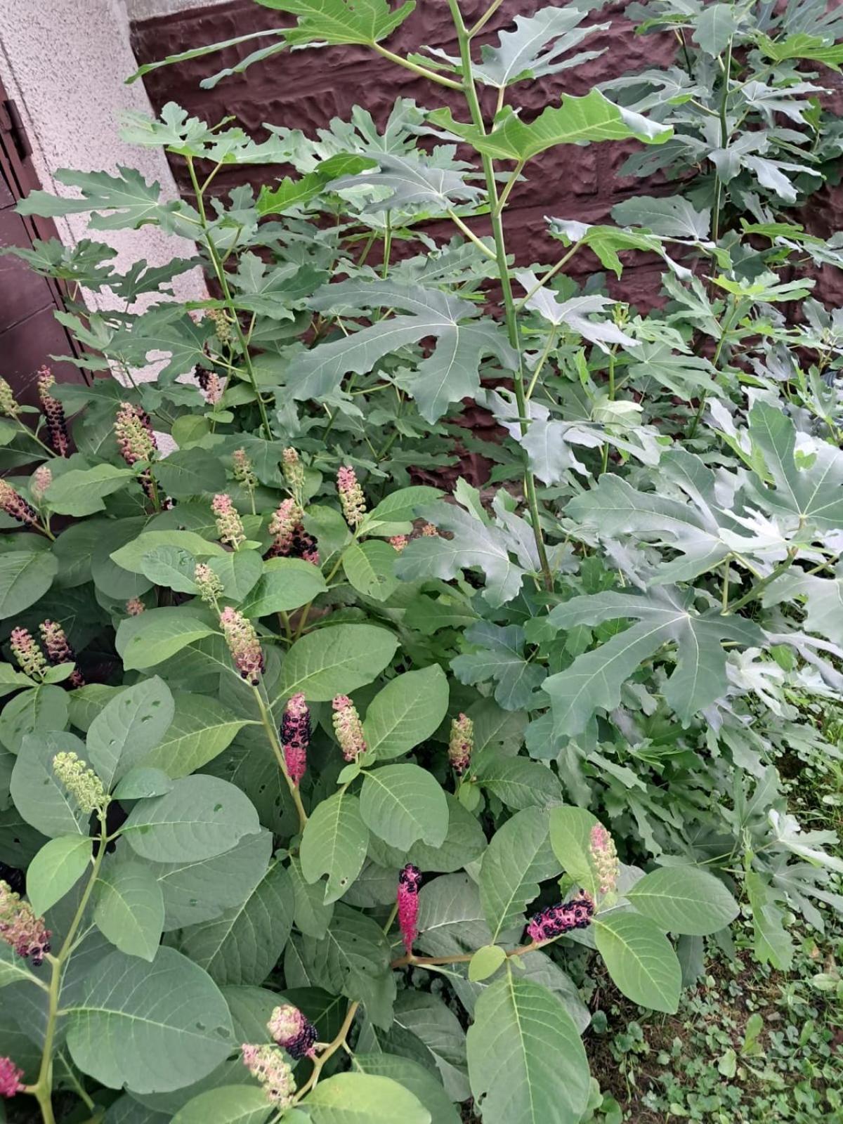 Pilchowice Agroturystyka Nad Bobrem מראה חיצוני תמונה